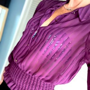 Sexy Long Sleeve Blouse, Collared, See Through with Purple Stripes.